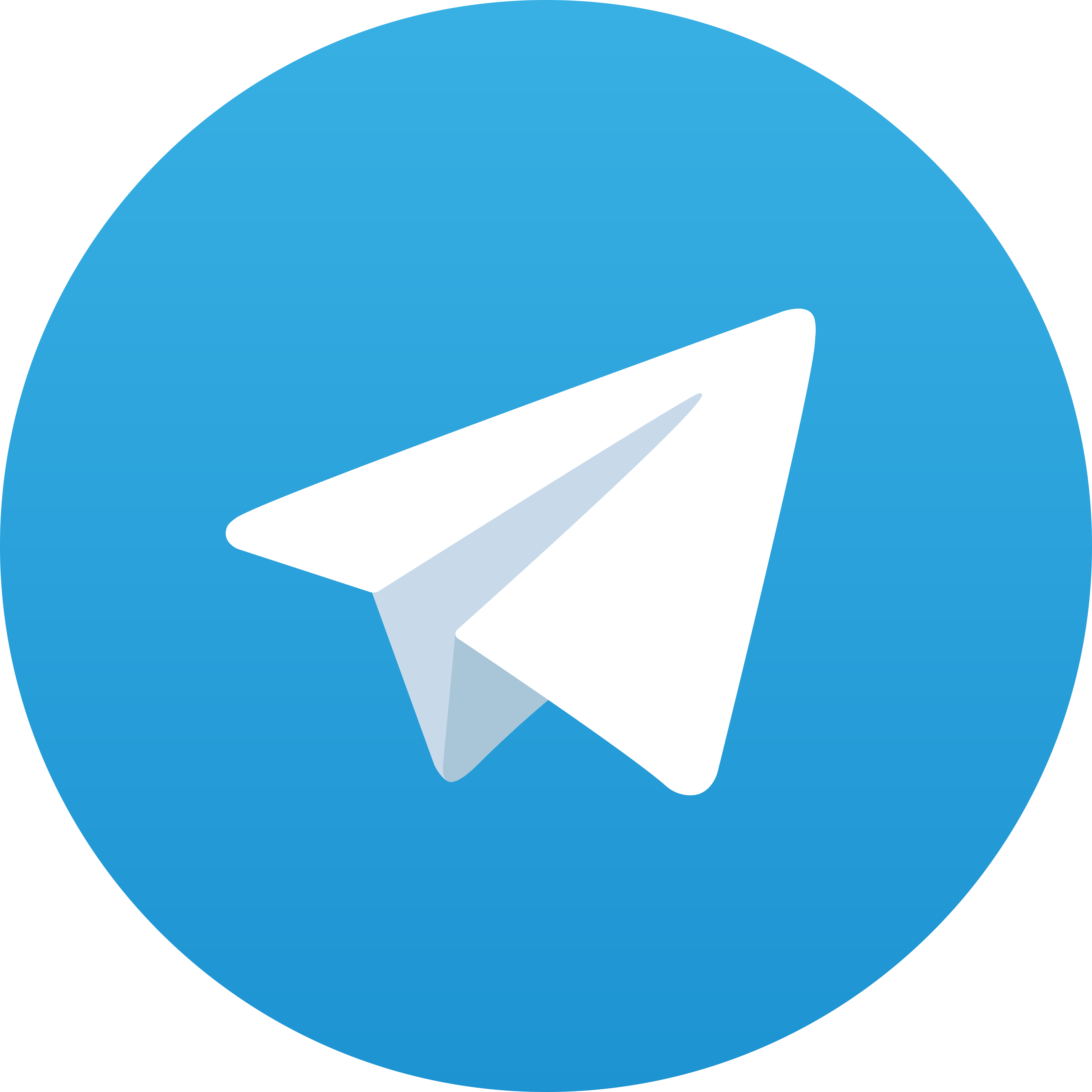 Telegram Queenbet365
